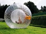 zorbing